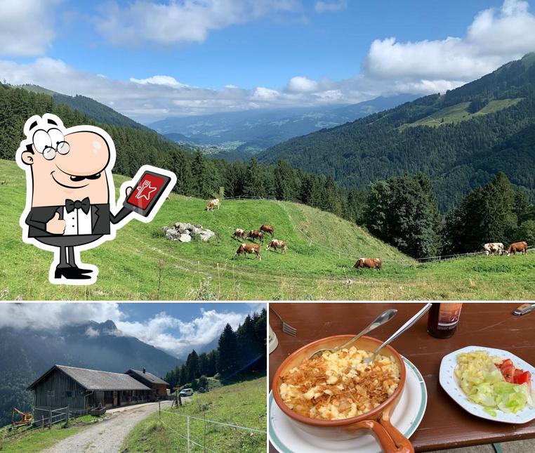 Alpe Gaudenza