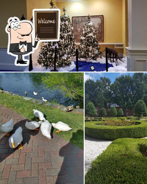 The Swan Terrace, Virginia Beach - Restaurant menu, prices and reviews