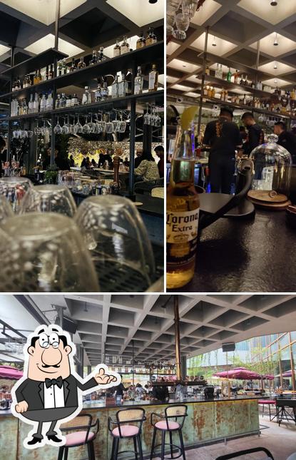 Check out how Babylon Kitchen & Bar - Hyderabad looks inside