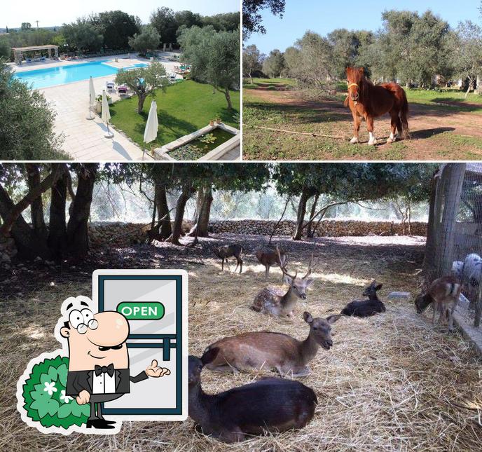 Gli esterni di Tenuta Sant'Antonio Cerfignano