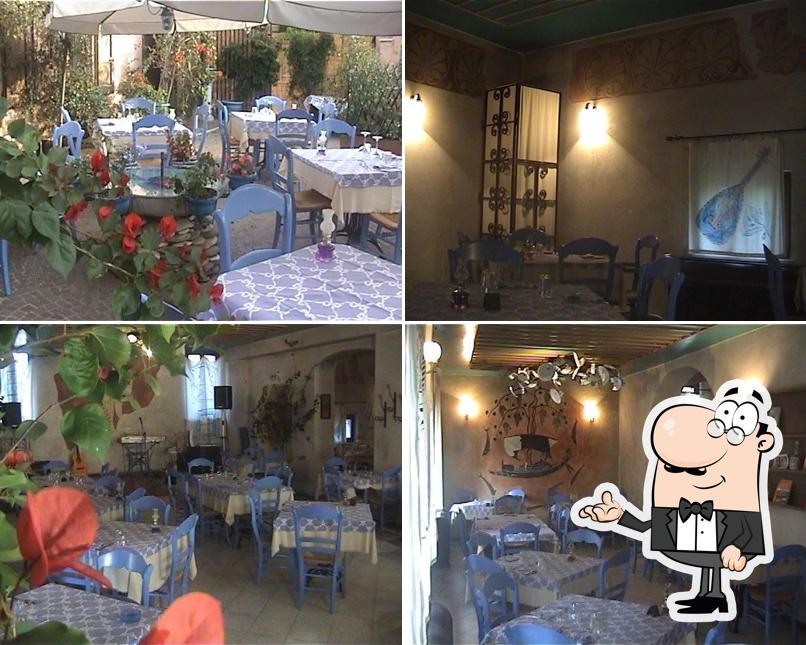Dai un'occhiata agli interni di Zorba