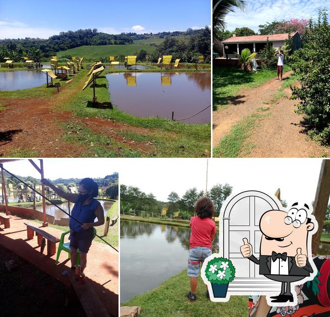 Pesque e Pague João de Barro, Londrina - Opiniones del restaurante