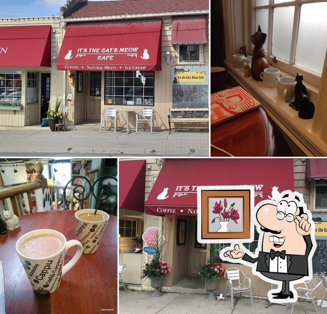 It's The Cat's Meow Cafe
