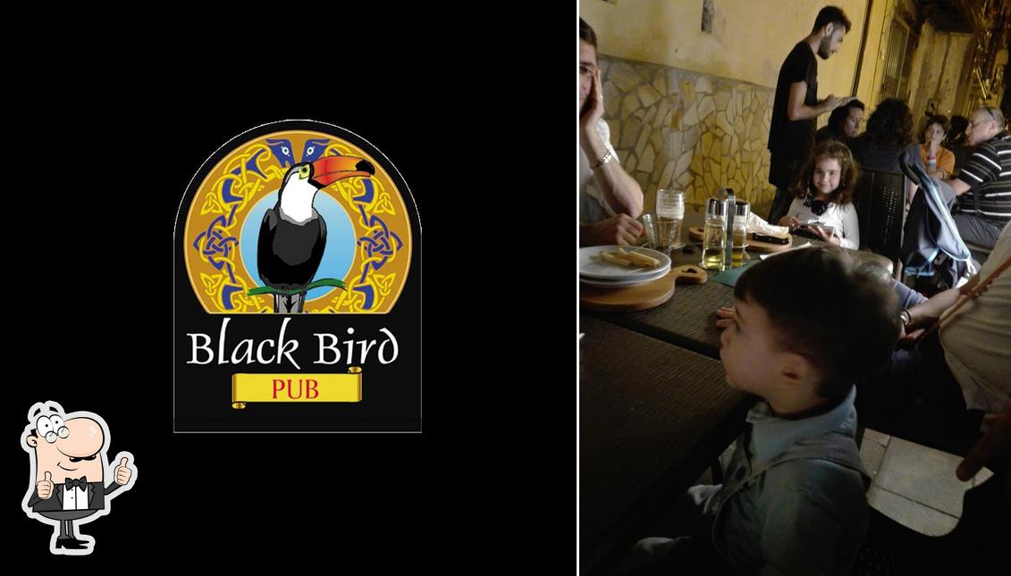 Ecco una foto di Black Bird