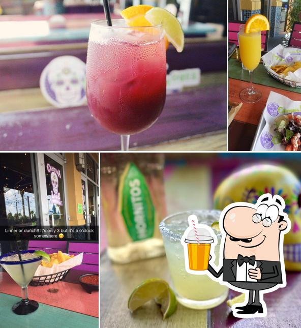 Cantina Louie, 725 Atlantic Blvd in Atlantic Beach Restaurant reviews