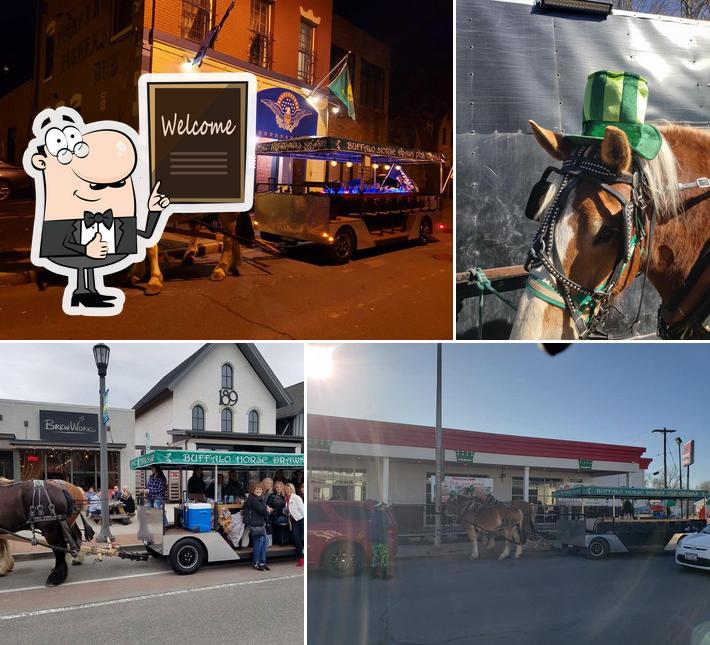 Buffalo Horse Drawn Pub Crawls in USA Restaurant reviews