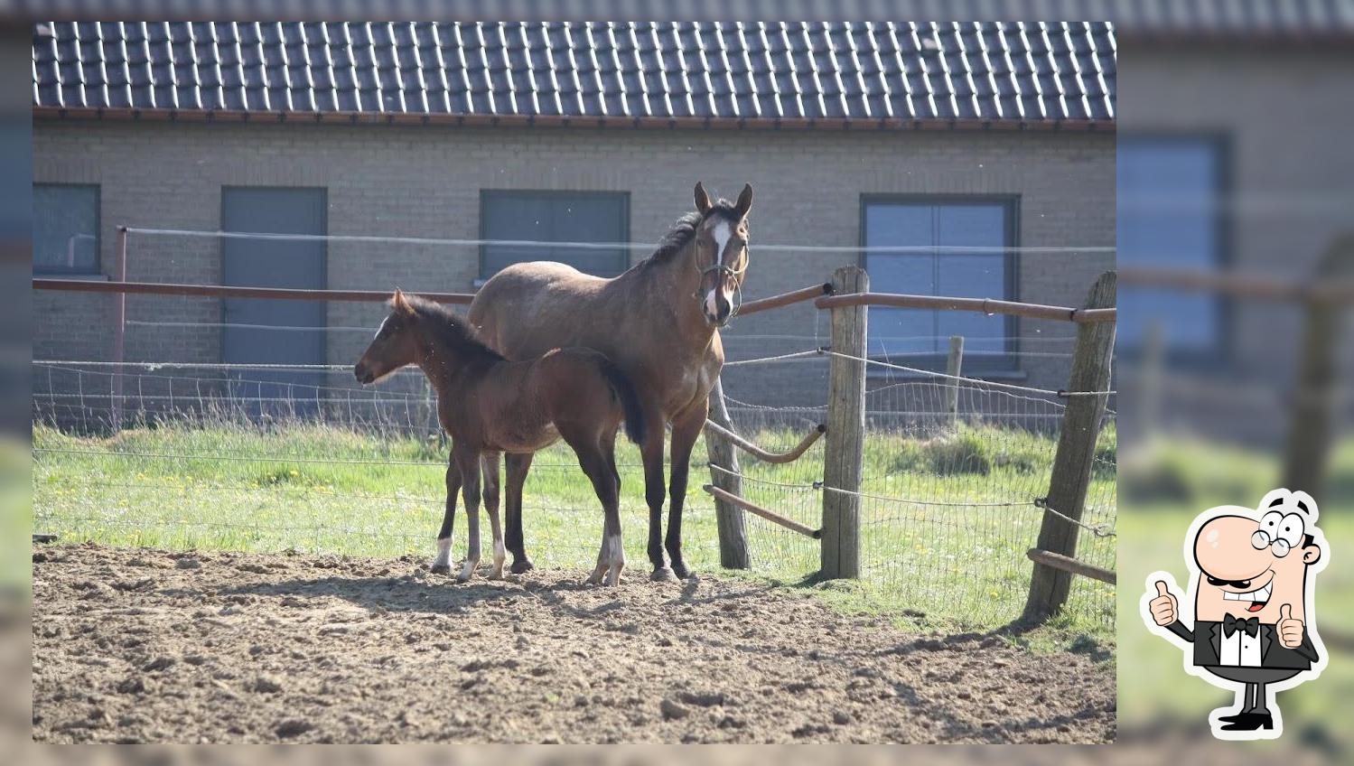 Bonanza Ranch