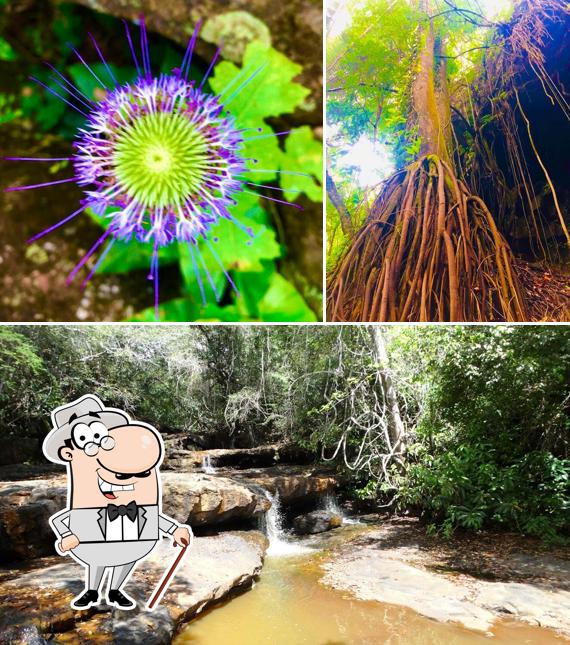 O exterior do Reserva Natureza Divina