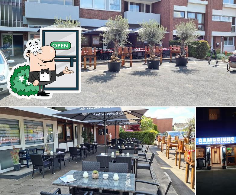 Voici l’image indiquant la extérieur et intérieur sur Roy's Gambrinus