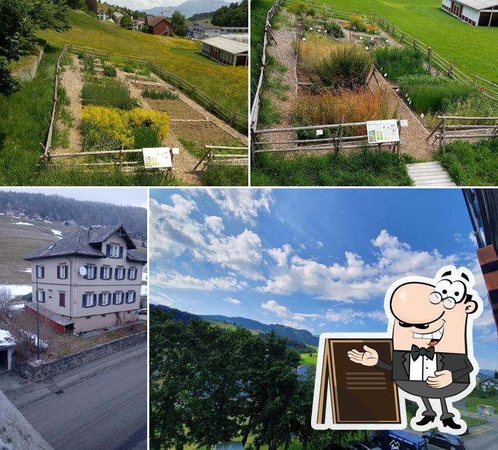 Hostel Alpenblick