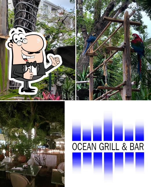 Ocean Grill & Bar in Key West Restaurant menu and reviews