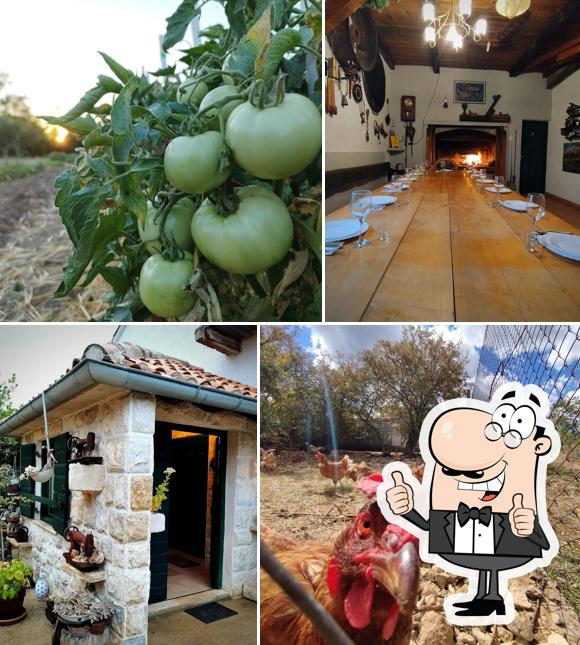 Agroturizam Lolina vatrenica OPG ĆUSA