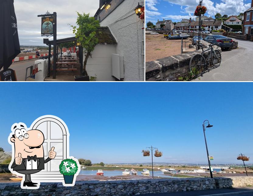 The Anchor Inn in Exmouth Restaurant menu and reviews
