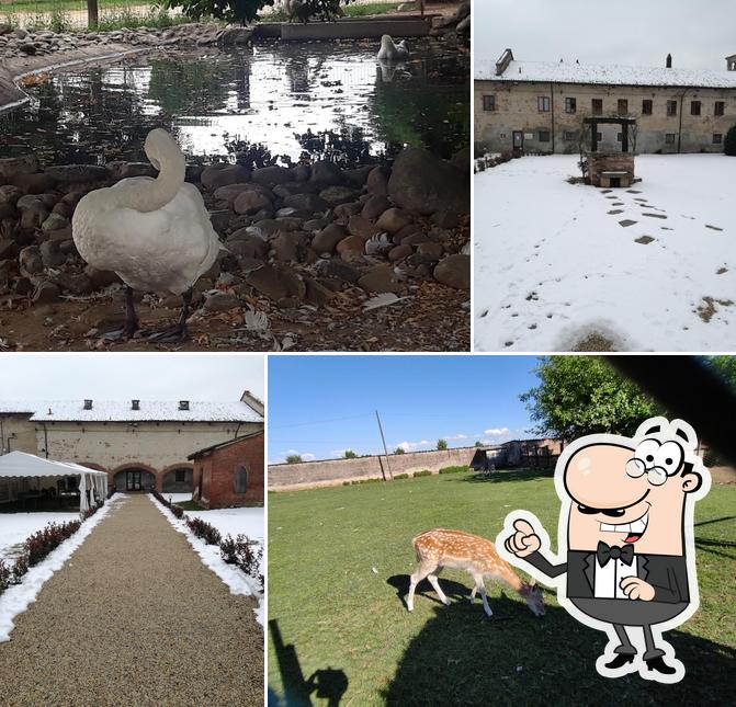 Agriturismo Cascina Gorgia