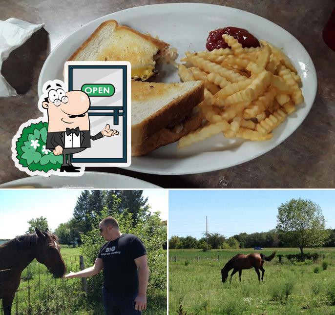 Country Cottage Cafe, Oelwein - Restaurant menu, prices and reviews