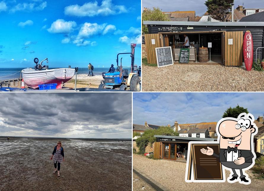 The Sea Farmer’s Dive Taproom in Whitstable - Restaurant reviews