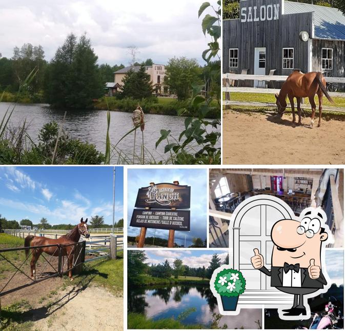Le Domaine Du Ranch in Sainte-Jeanne-d'Arc - Restaurant reviews
