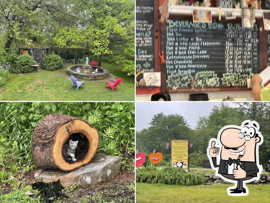 Two Wrasslin' Cats Coffee House & Cafe in East Haddam Restaurant menu