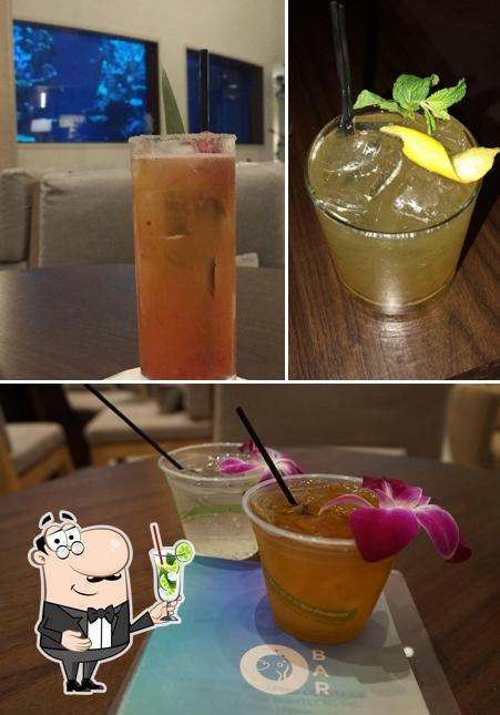 Enjoy a beverage at Swell Restaurant and Pool Bar