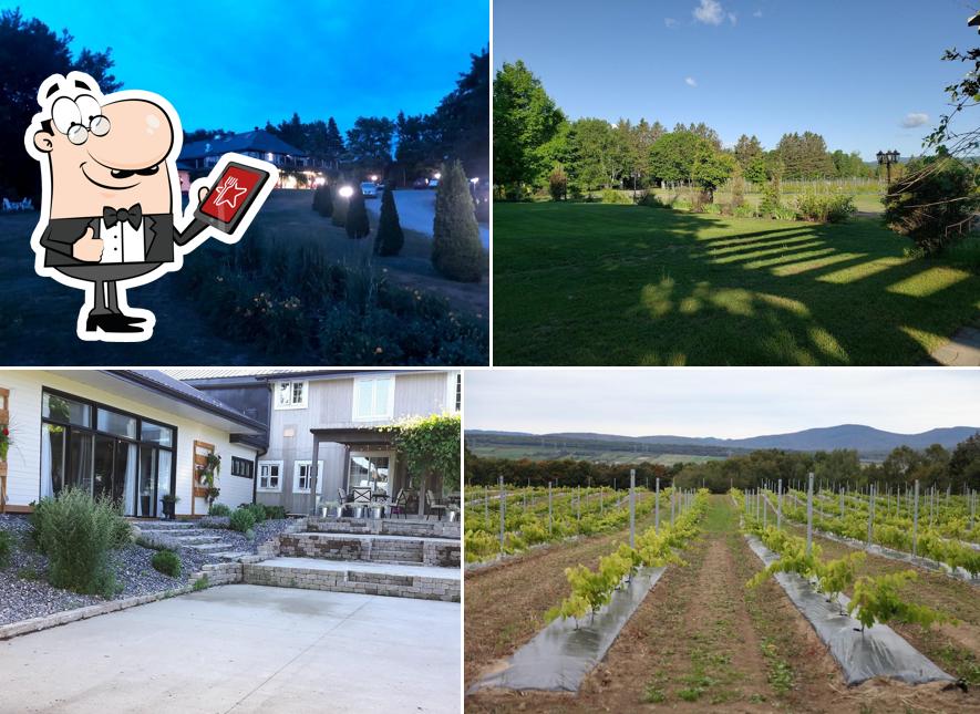 Vignoble GRANGE & restaurant