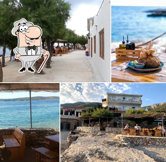 Guarda gli esterni di Zaca Bar Zavala
