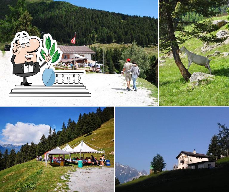 Rifugio Agriturismo "Alla Meta"