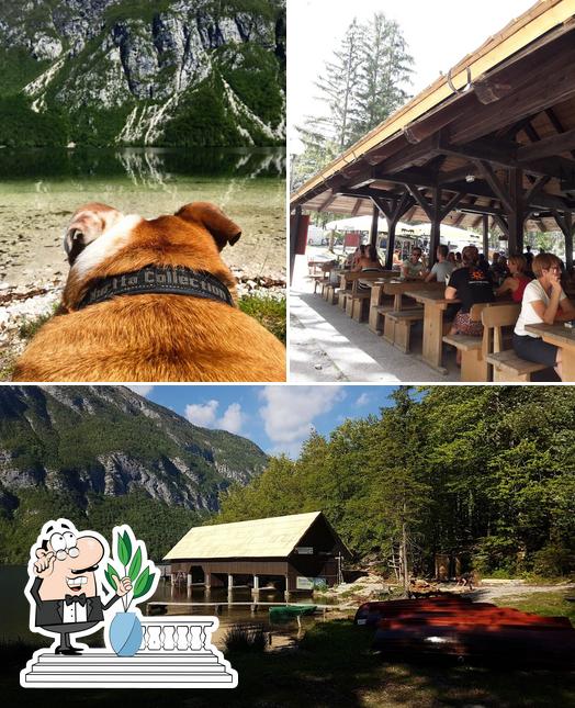 L'extérieur de Camp Bohinj