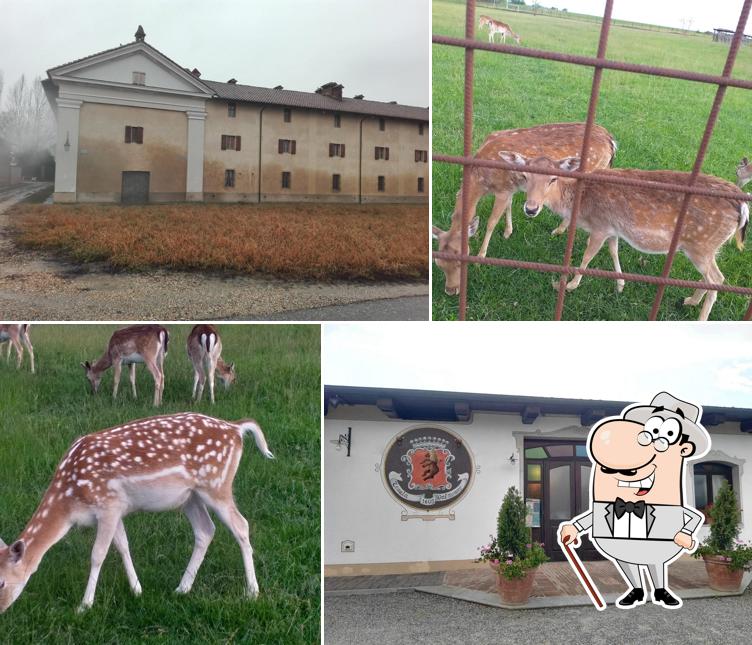 Ristorante Tenuta Valminier