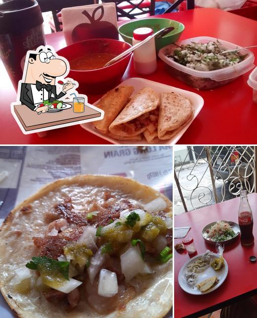 Tacos El Gavilan restaurant, Monterrey Restaurant reviews