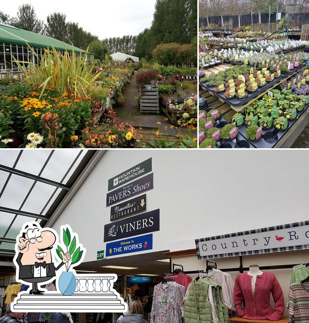Golden Days Garden Centre in Wigan Restaurant reviews