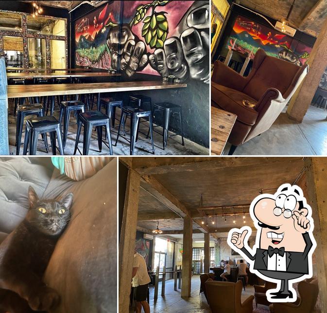 Old Sheepdog Brewery in El Paso Restaurant reviews