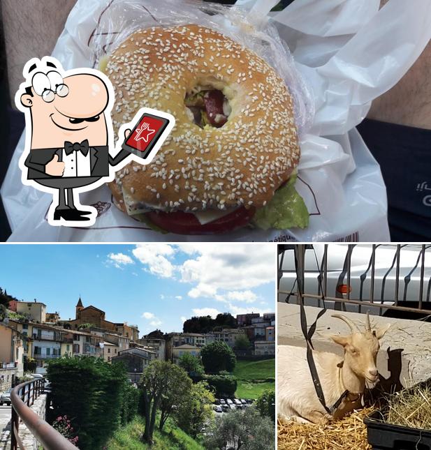 La Gilettoise