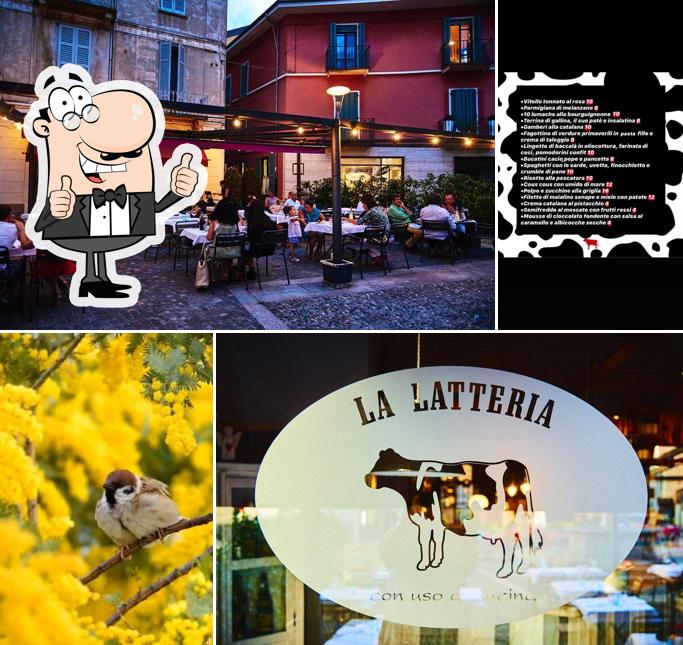 Regarder cette image de Ristorante La Latteria