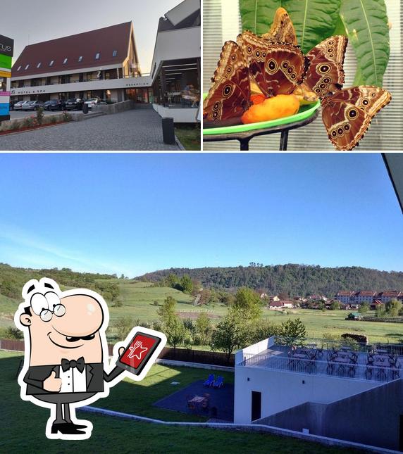 Schauen Sie sich das Aufnahme von außen und meeresfrüchte bei ALTUS Hotel & Spa Praid/ Parajd an