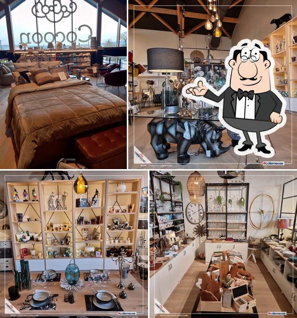 Cocoon Concept Store