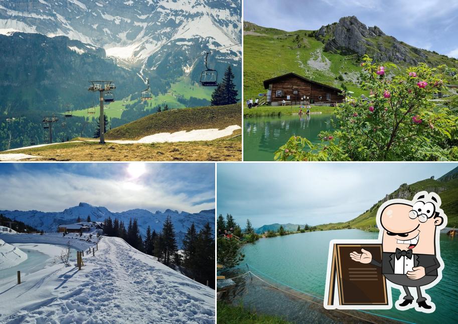 Kräuterhütte