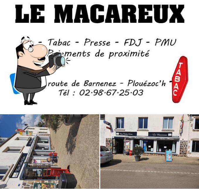 Le Macareux