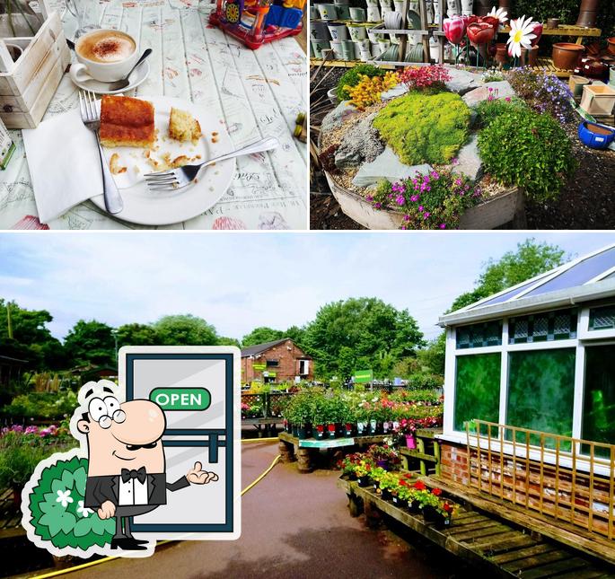 golden-days-garden-centre-in-cheadle-restaurant-reviews