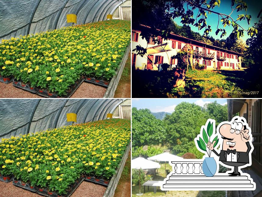 Agriturismo Cascina Chiantori