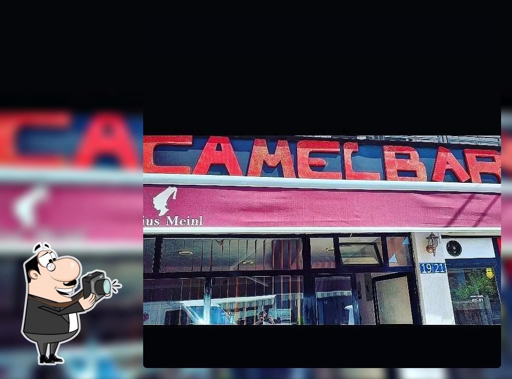 Camel Bar