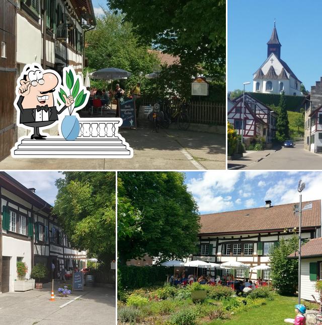 Buck, Rheinau Restaurant reviews