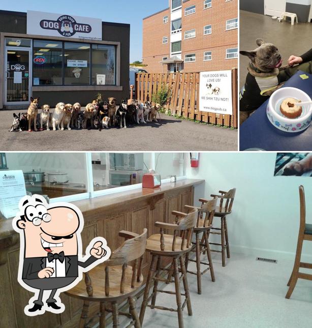 L'intérieur de Bring Your Dog Cafe