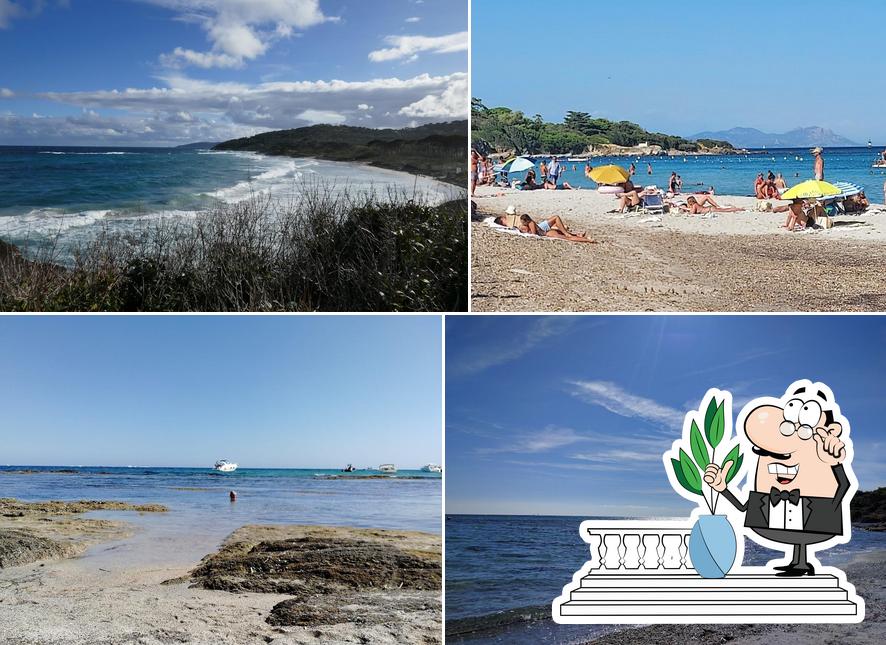 Jetez un coup d’œil à quoi ressemble Plage des Salins à l'extérieur