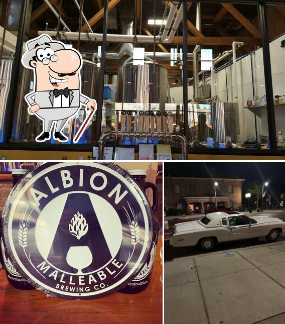 Albion Malleable Brewing in Albion Restaurant menu and reviews