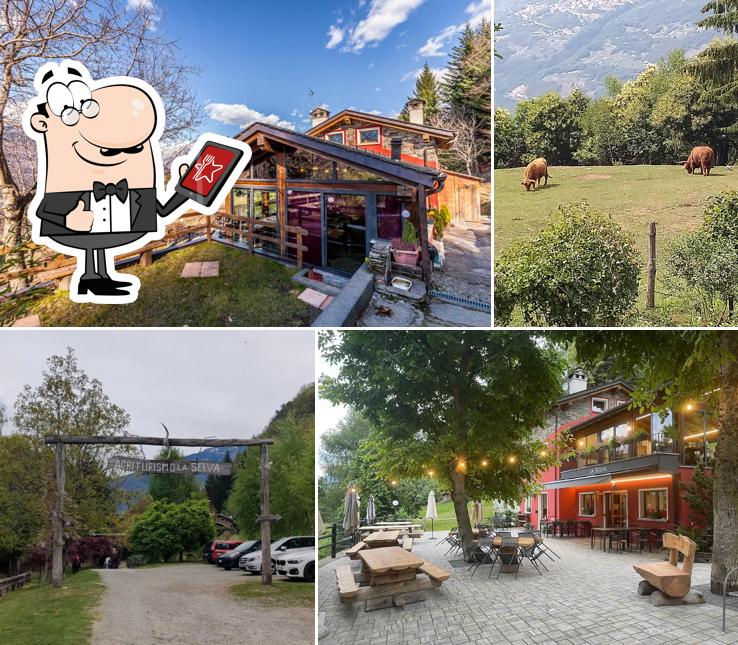 Guarda gli esterni di Agriturismo La Selva