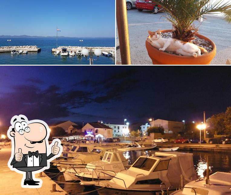Restaurant Taverna, Zara Menu e recensioni del ristorante