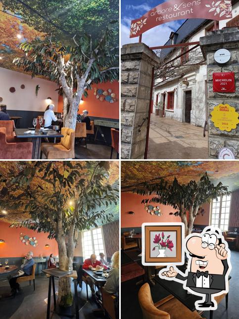 Découvrez l'intérieur de Arbore & Sens à Loches
