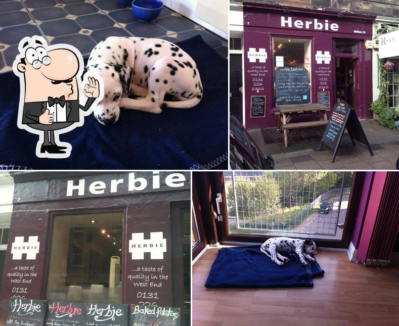 Herbie West End in Edinburgh Restaurant menu and reviews