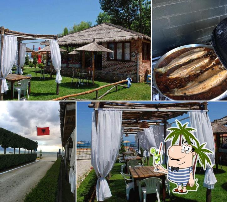 Camping ARBI