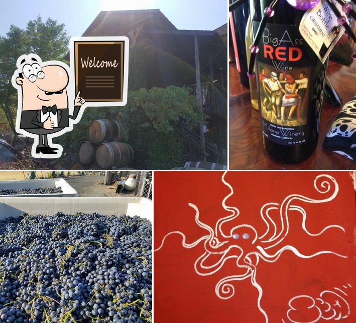Milano Family Winery in Hopland Restaurant reviews